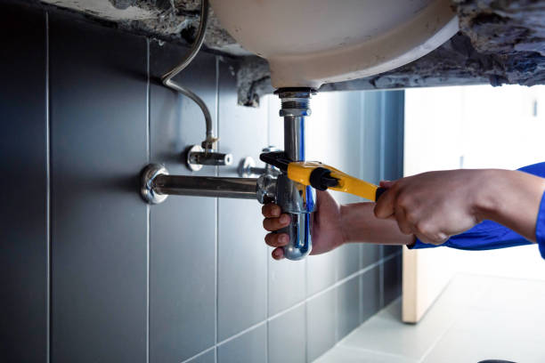 Best Garbage Disposal Repair and Installation  in Fruitridge Pocket, CA